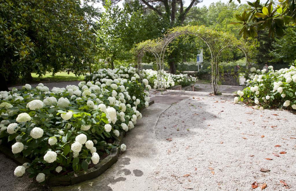 Posada Rolisas Polanco Zewnętrze zdjęcie